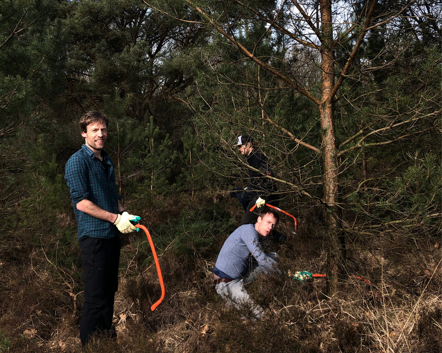 Wilde kerstbomen scoren