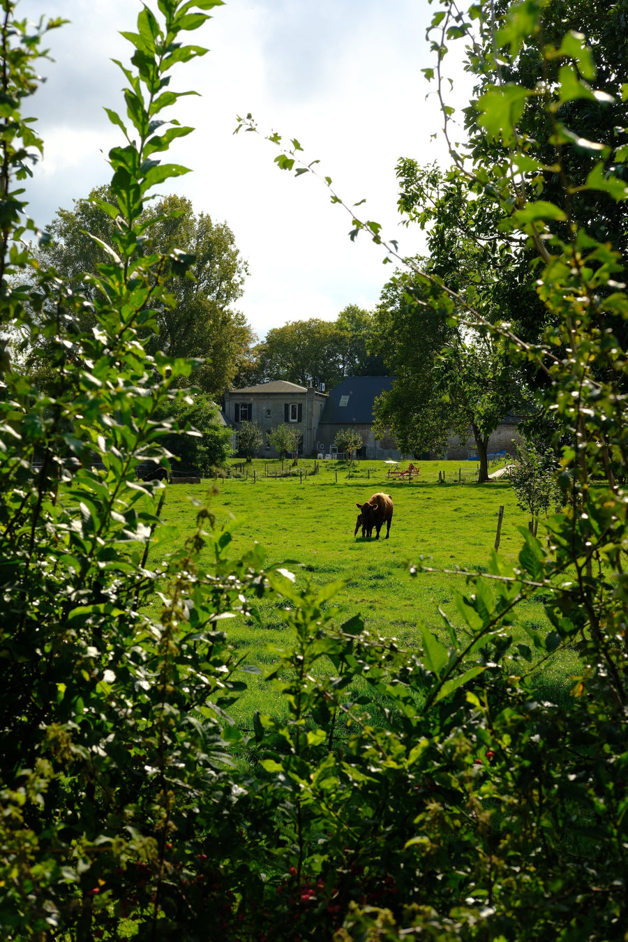 Vinkenhorst Farm & More